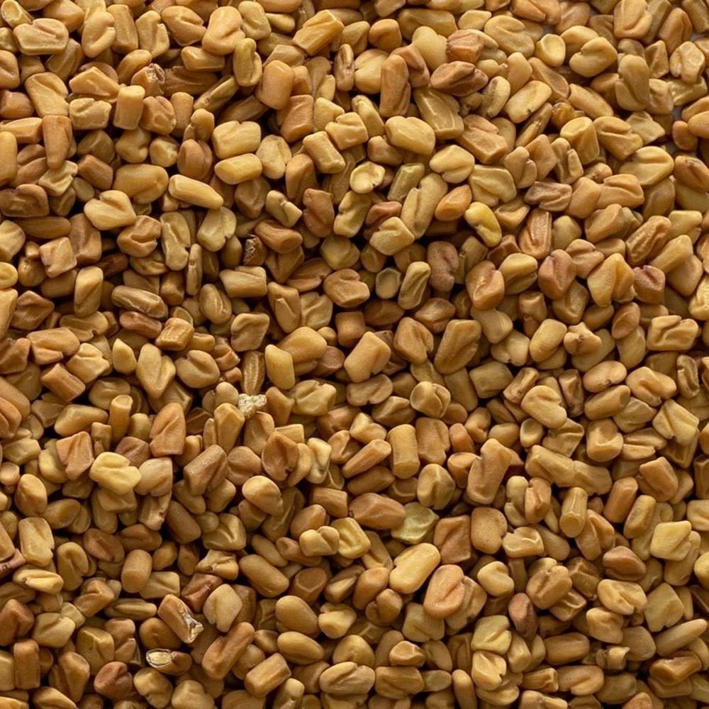 Best Fenugreek Exporters In Tamil Nadu